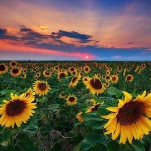 Meet your Posher, Marcela